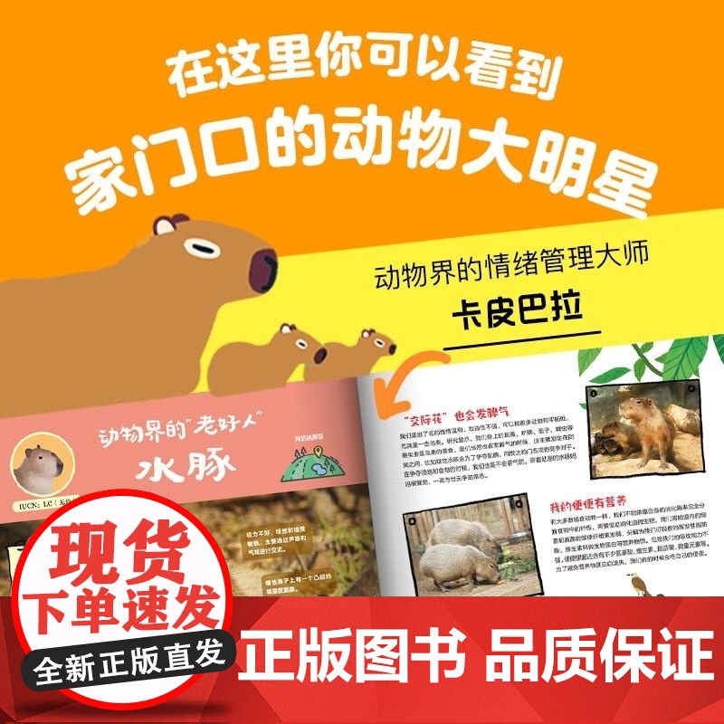 随身携带的动物园(全6册) 齐新章 等 中信出版集团高清大图