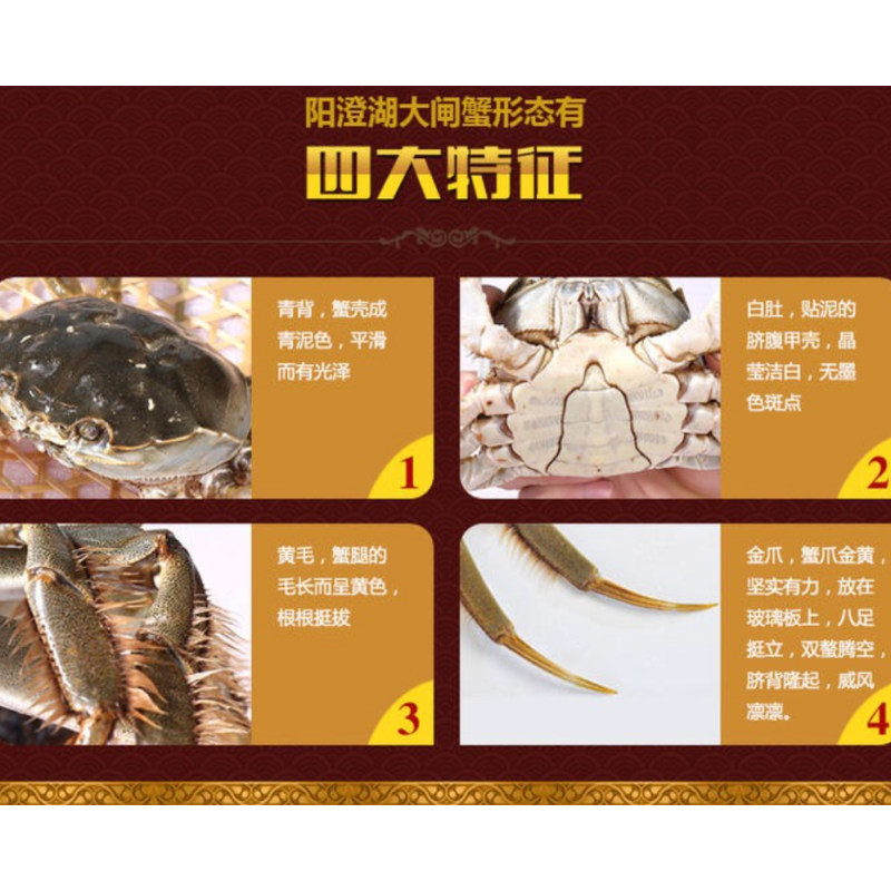 企购优品 蟹皇府尊享1888型大闸蟹卡册