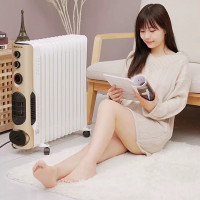 奥克斯(AUX)油汀取暖器暖风机油丁电暖器小太阳家用节能速热省电小型油汀电暖气13片白色