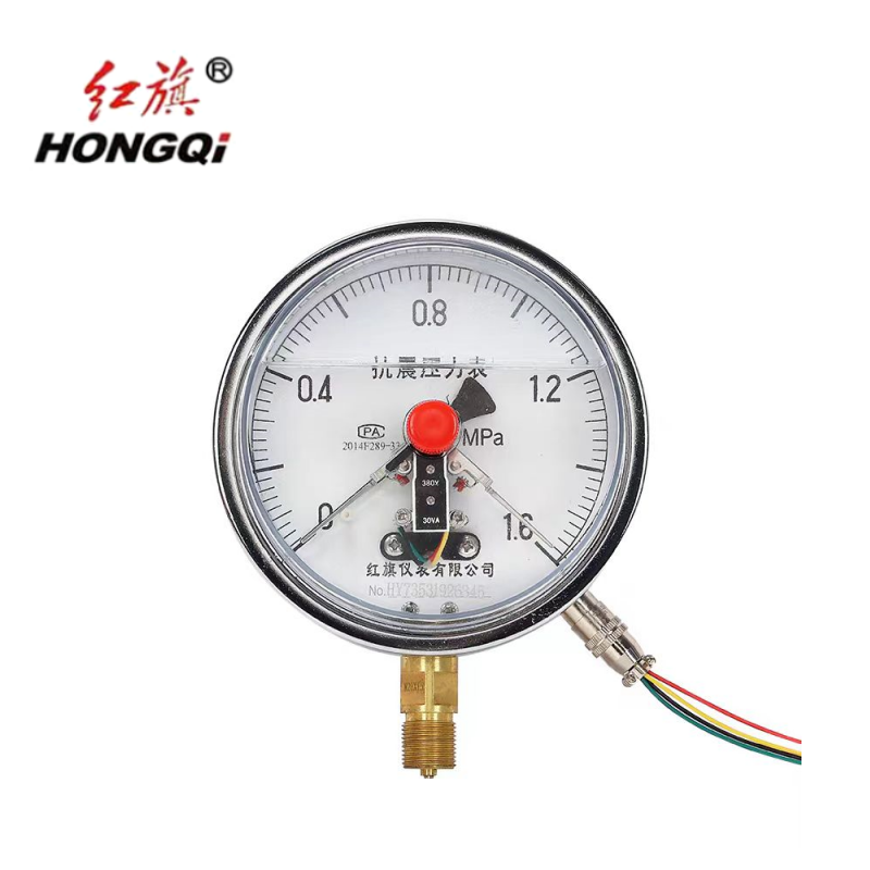 红旗 不锈钢膜盒压力表精检款 YE-100BF 块高清大图