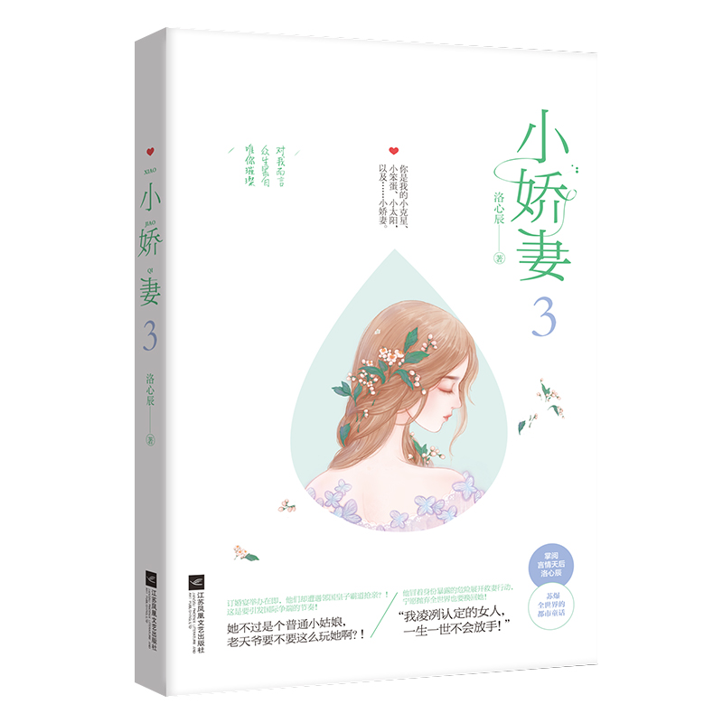 [正版] 小娇妻3 洛心辰作品 青春文学都市爱情童话故事言情现代情感文学小说掌阅人气奇迹小说少女系暖甜苏爽 网络原名小妻高清大图