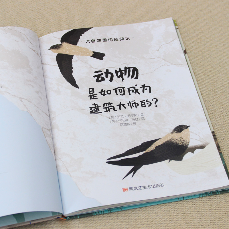 醉染图书动物是如何成为建筑大师的?9787559357786高清大图