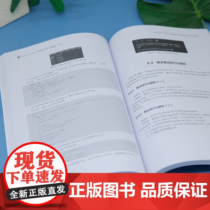 TypeScript从入门到项目实践 刘凯燕 著 计算机与互联网高清大图