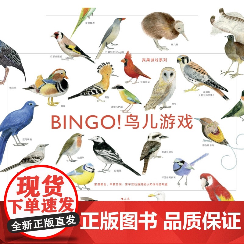 BINGO 鸟儿游戏 7-10岁 麦克·昂温 著 手工游戏高清大图