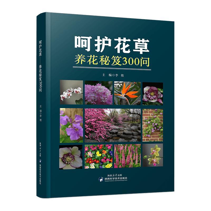 呵护花草-养花秘笈300问 李艳 著 生活 文轩网图片