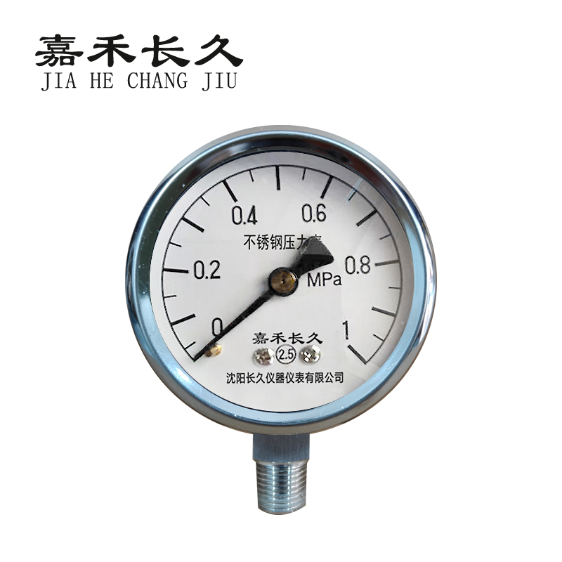 嘉禾长久 不锈钢压力表检测型 Y60BF 块 Y60BF，0-1Mpa