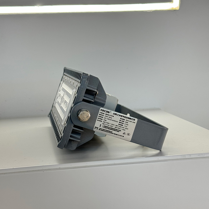 RECEN RGFL236-50W 固定式LED灯具 个高清大图
