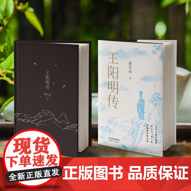 王阳明传 20周年纪念版 周月亮教授著 王阳明知行合一的心学智慧 历史人物传记类书籍 磨铁高清大图
