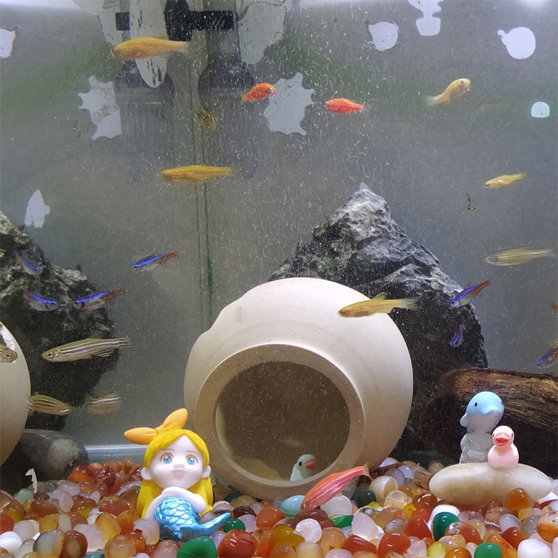南京雨花石原石天然鹅卵石铺面鱼缸装饰花盆栽五彩色小石头子水培高清大图