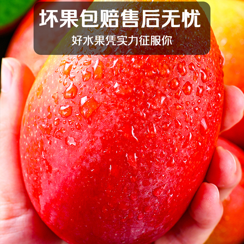 冠町 海南贵妃芒果 中果9斤装单果120g左右 新鲜特产水果生鲜