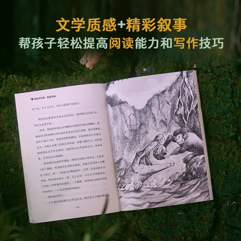 剑齿虎家族6册 [正版]剑齿虎家族全6册 .旷野求生 动物小说生命教育主题大自然科普故事书青少年成长励志读物三四五六年级高清大图