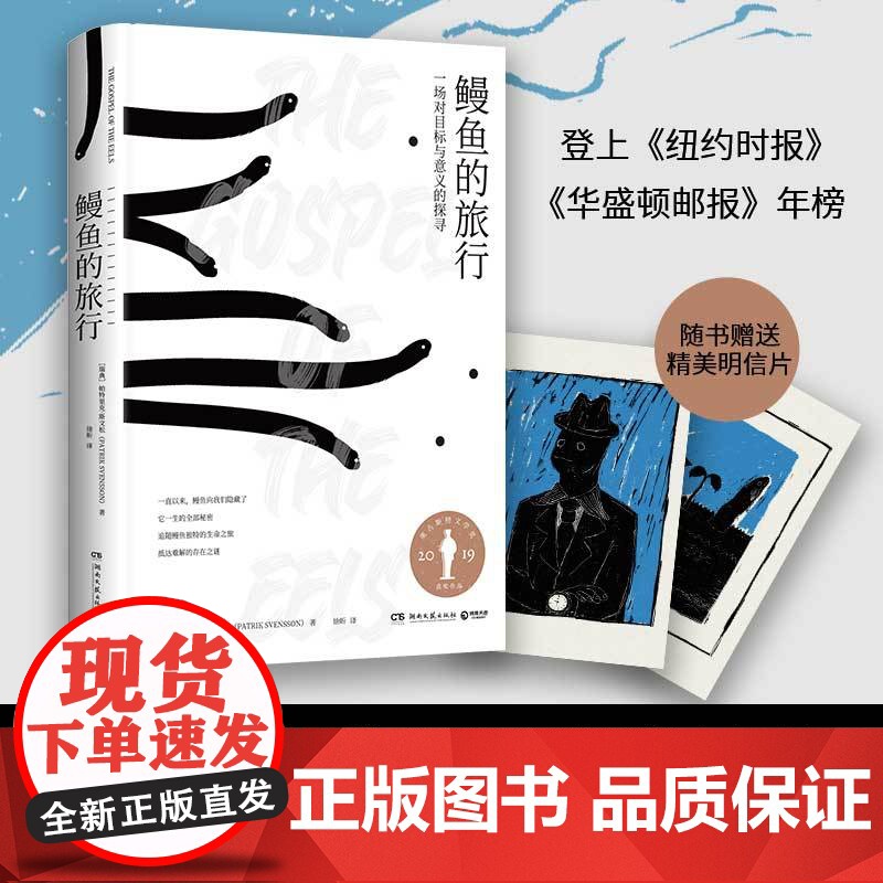 鳗鱼的旅行 荣获奥古斯特文学大奖 纽约时报 福布斯 等一致 正版书籍从鳗鱼笨拙又浪漫的生命之旅抵达深刻又感动的生命之谜高清大图
