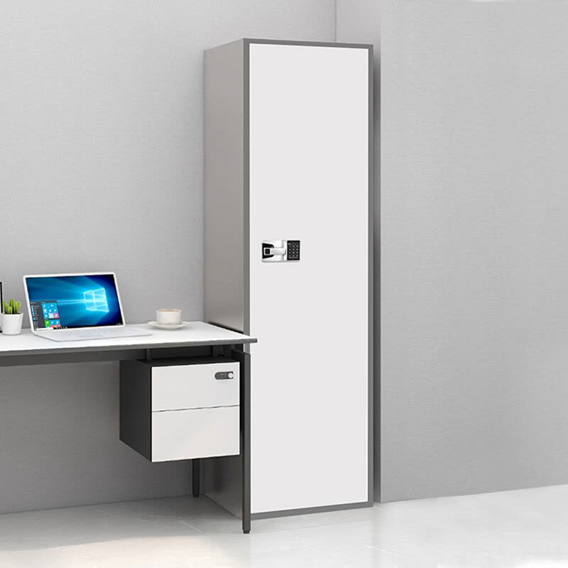 慧采云 办公家具优质钢制套色单门指纹国保锁保密柜办公柜铁皮柜收纳柜储物柜580*430*1900mm图片