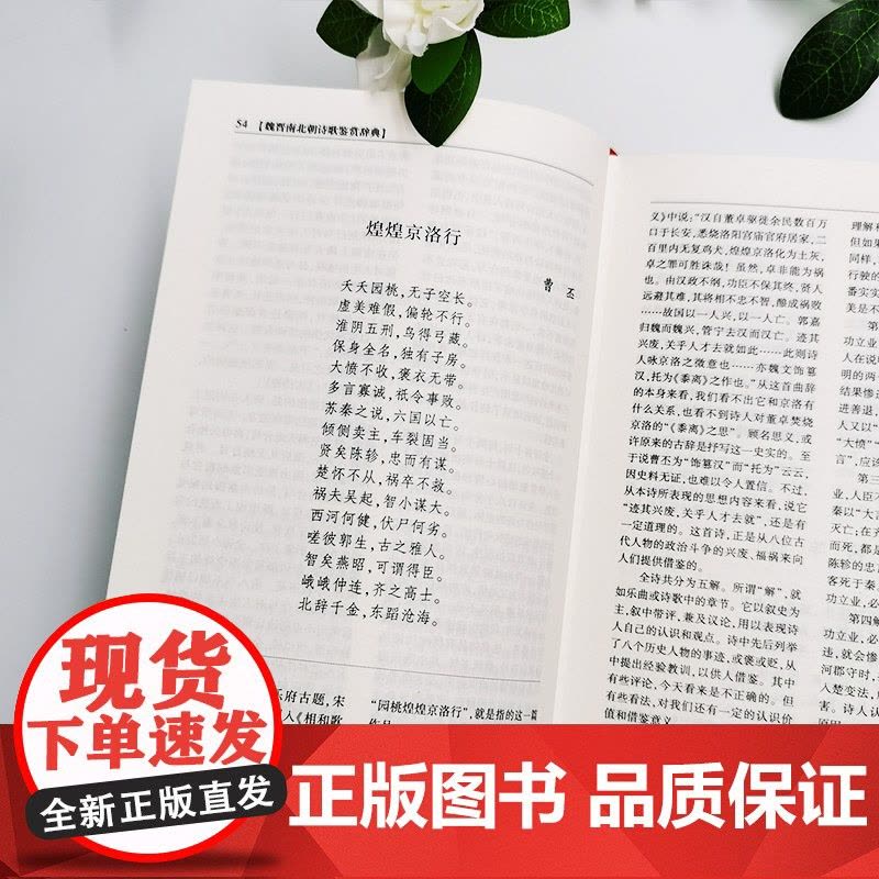 魏晋南北朝诗歌鉴赏辞典图片
