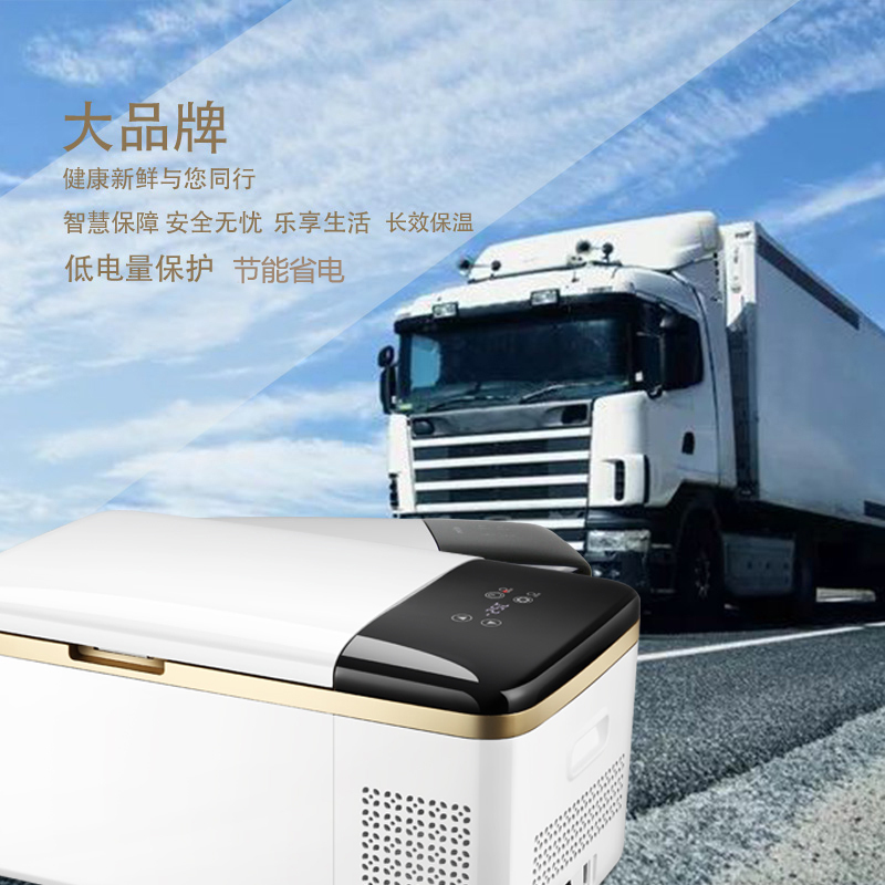 夏新 小冰箱 宿舍租房家用迷小12V-24V药品面膜车载货车冰箱压缩机