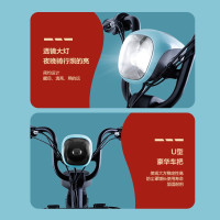 新日(Sunra)电动车48V新国标电动自行车锂电成人小型电瓶车男女时尚代步滑板车 XLB 艾绿/油光黑[铅酸版]