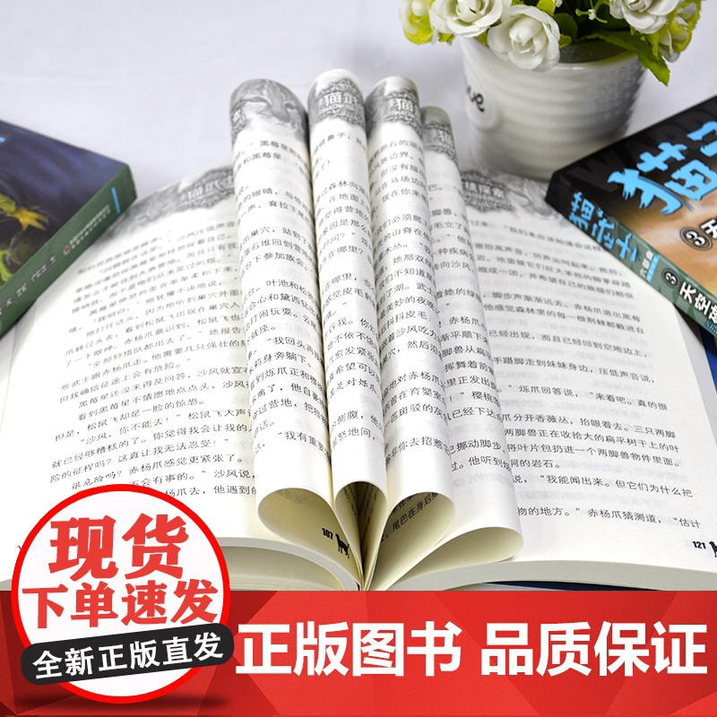 猫武士六部曲全套6册中小学生课外书8-12岁三年级课外书读四五年级阅读儿童书10-15岁猫武士外传套装奇幻小说故事书极夜高清大图