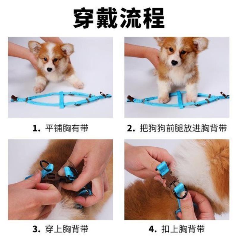 .狗狗牵引绳小中型犬狗绳子狗链子遛狗绳项圈脖圈泰迪猫咪宠物用 橙色2件套 S#33-48建议3-6斤使用