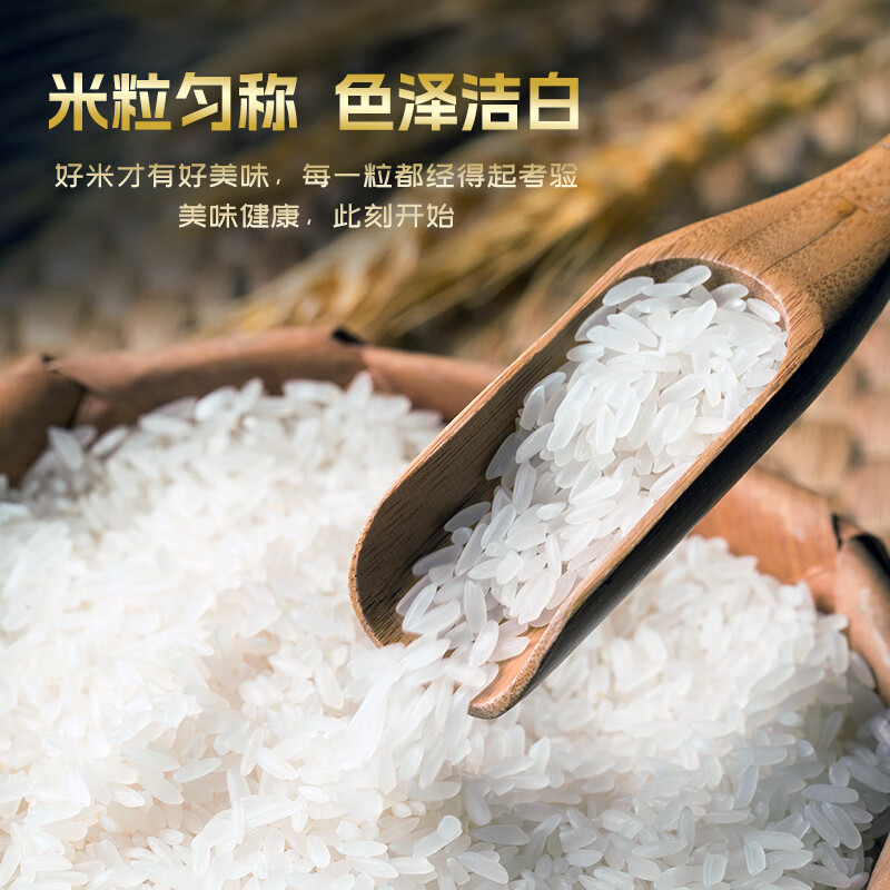 万年贡 金典WNG御贡米5KG/袋 10斤 优选稻米 丝苗大米高清大图