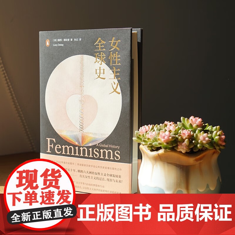 女性主义全球史 露西·德拉普 著 文化研究高清大图