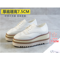 金三志网红鞋子女2020秋款潮鞋韩版透气英伦坡跟松糕鞋女厚底布洛克单鞋休闲鞋