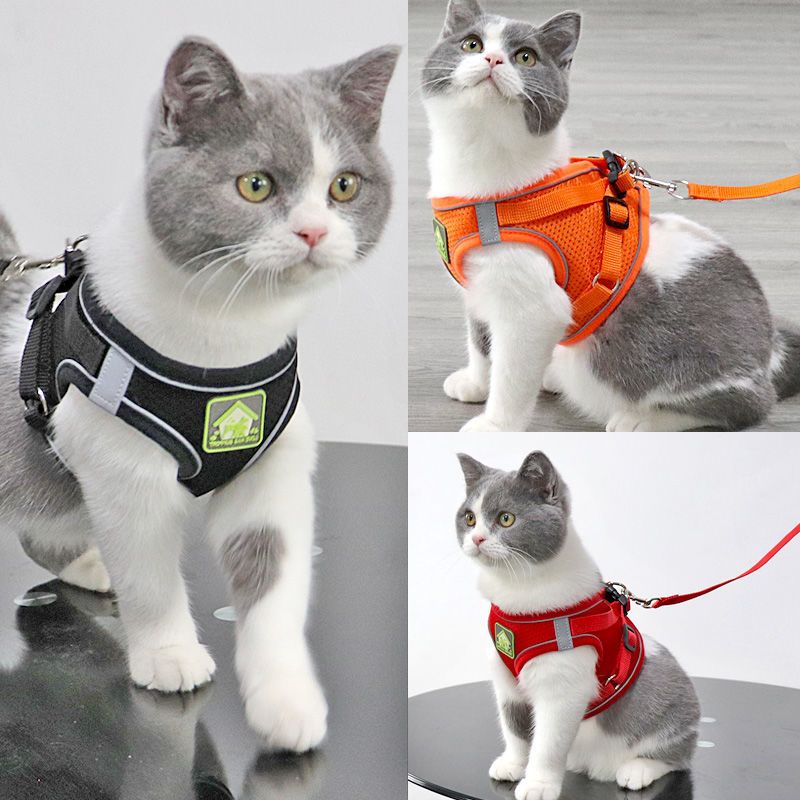 猫咪牵引绳遛猫绳背心式防挣脱幼猫外出牵引绳胸背带猫咪专用反光 6MM*2米反光黑色圆绳 XS码（猫咪体重参照5.3斤以内