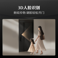 德施曼(DESMAN)智能门锁3D人脸识别 指纹密码防盗电子锁入户门 小嘀 Q2FD 星爵黑