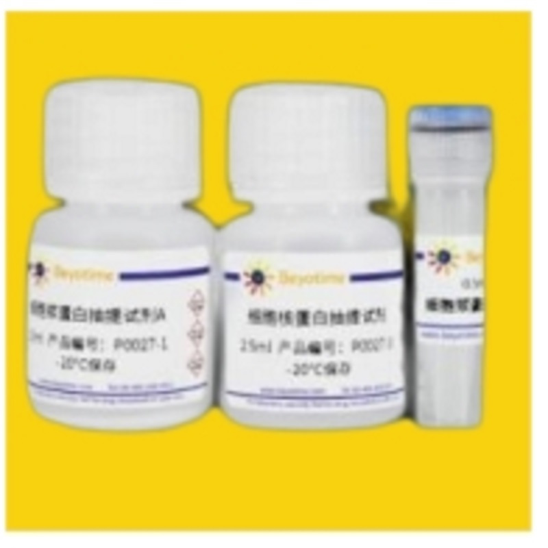 Beyotime RIPA裂解液(强中弱套装) P0013E