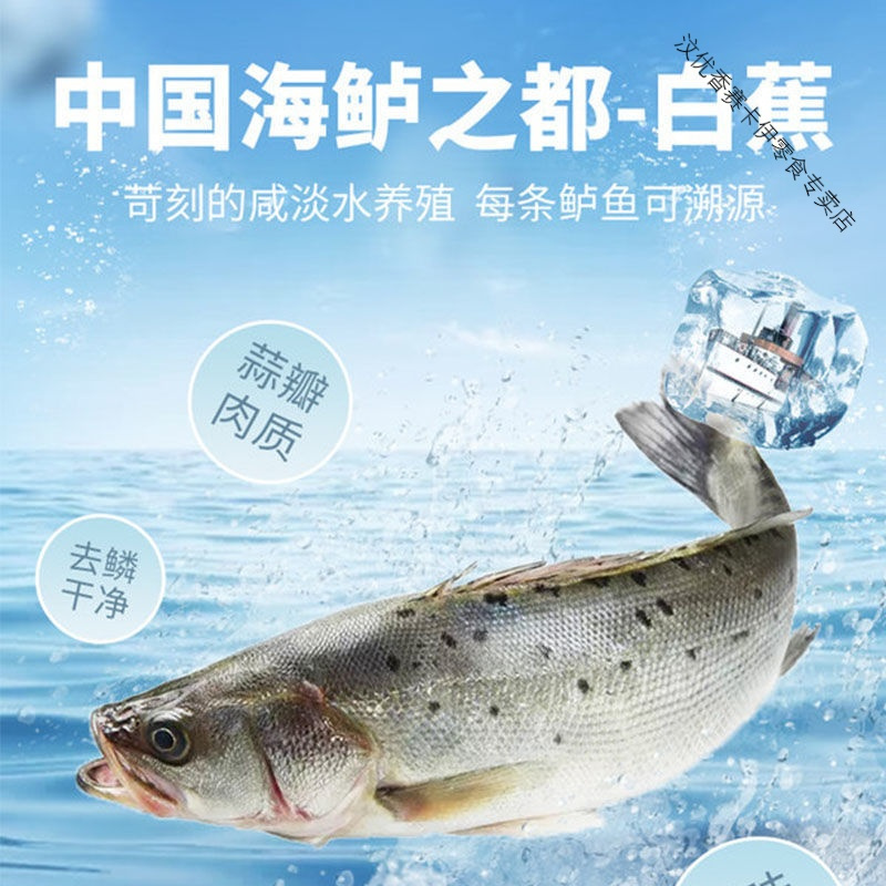 三去海鲈鱼鲜活冷冻大鲈鱼开背白蕉海鲜新鲜水产400g±50g顺丰 特大鲈鱼3条