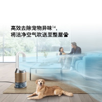 戴森DYSON PH05 空气加湿智能净化器 兼具空气净化器 无雾加湿 除菌除甲醛除异味 宠护认证 白金色