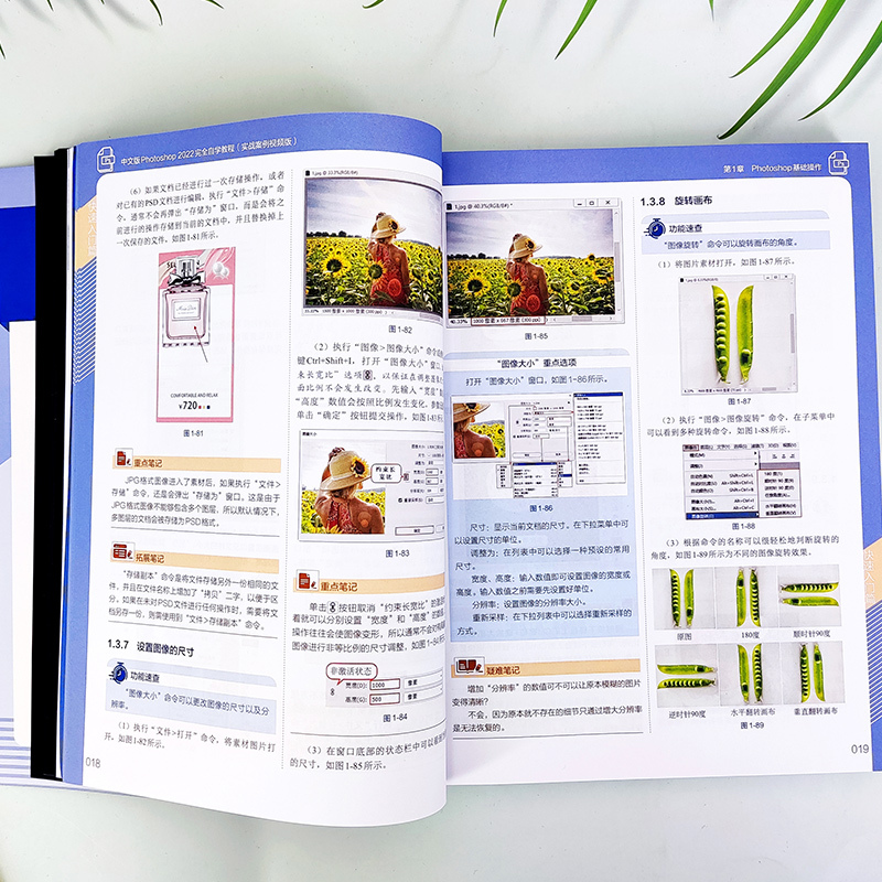 [正版]ps教程 中文版Photoshop2022完全自学教程 实战视频版 ps从入门到精通 照片调色图像美化绘画排版滤