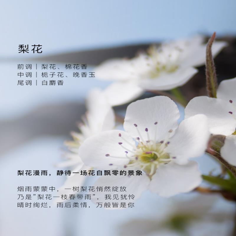 东方宝石 (Tesori D Oriente) 丝滑香氛洗发水( 柔情花香)500ml