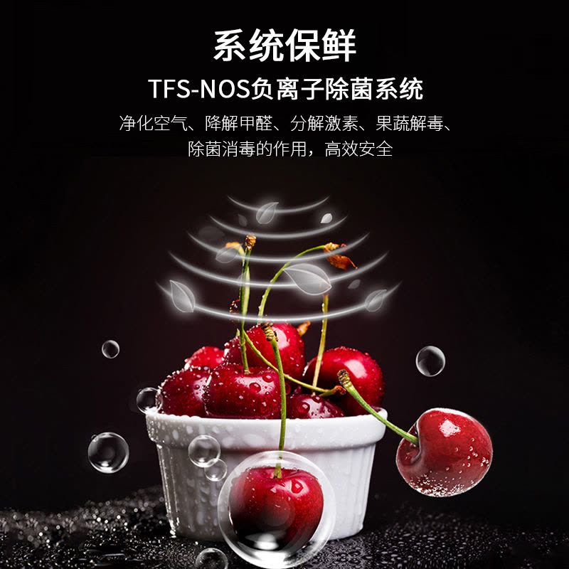 伊莱克斯冰箱EQE4529GD图片
