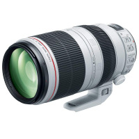 佳能(Canon) EF 100-400mm f/4.5-5.6L IS II USM全画幅单反相机镜头 远摄变焦镜头 77MM