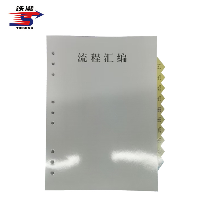 铁凇 流程汇编内页 210*297mm 张
