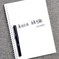 昭亭轩小婷的朝朝暮暮手写字帖女生字体练字楷书行楷行书硬笔书法 小婷A(中性笔临摹纸)