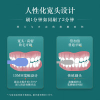 倍加洁大宽头护龈软毛国潮风牙刷2支独立包装 53孔高密植毛