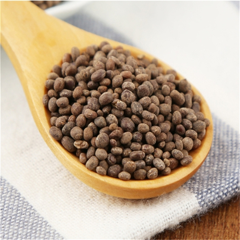 急性子500克 凤仙花子 指甲花籽 正品新货精选 急性籽高清大图