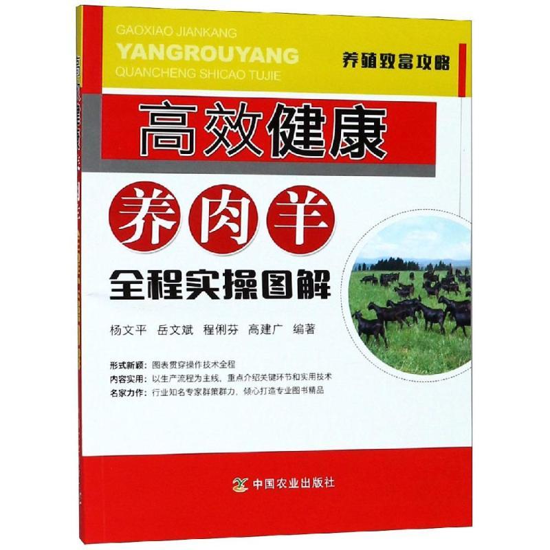 正版新书]高效健康养肉羊全程实操图解杨文平9787109235953高清大图