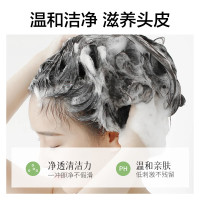 柏缇 洗发露 北非雪松控油蓬松 505ml 瓶