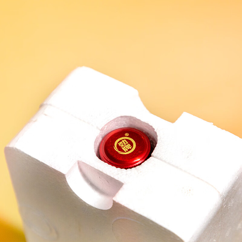 劲牌 中国劲酒 追风活力 500ml*6 整箱装