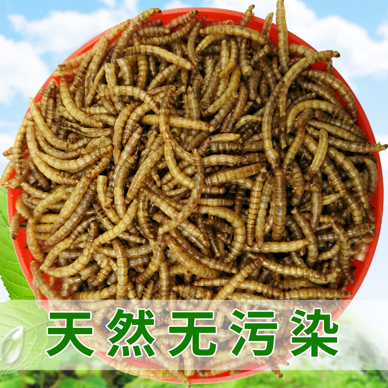 水族 宠物仓鼠粮零食干粉龙猫仓鼠粮龙鱼饲料鱼饵高清大图