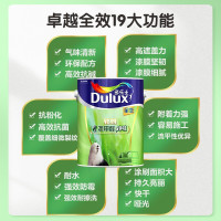 多乐士(Dulux)致悦竹炭净味抗甲醛全效乳胶漆内墙面漆 油漆涂料A742+A748 15L套装 哑光白色