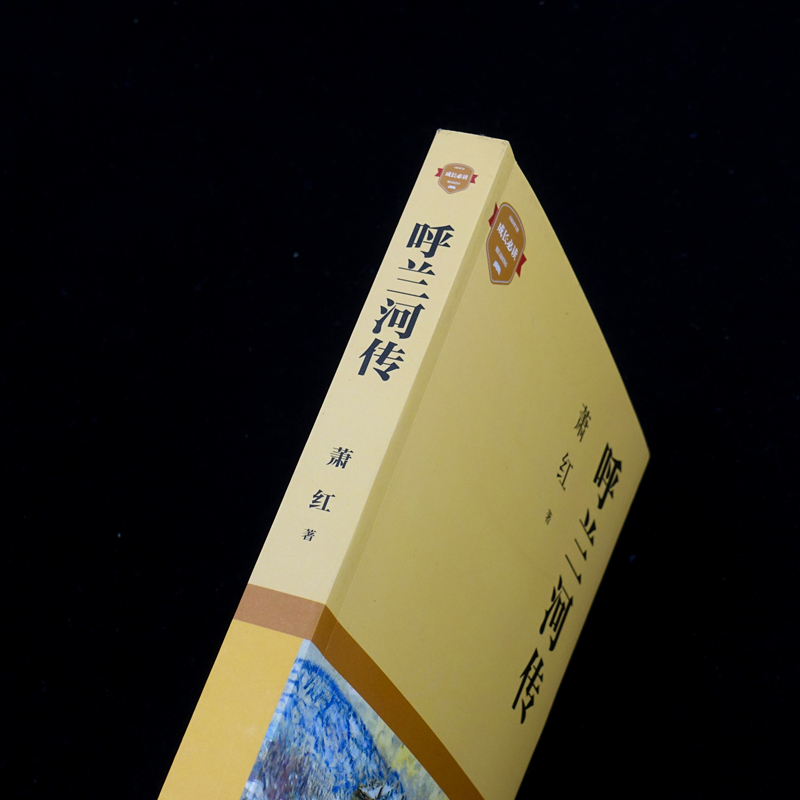 醉染图书呼兰河传9787541159411高清大图