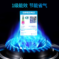 樱雪(INSE)燃气灶具 单眼灶 不锈钢燃气灶 单灶台式嵌入式 煤气灶家用灶具JZT-Q1910(G)天然气