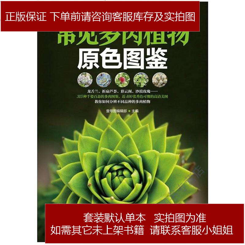 常见多肉植物原色图鉴壹号图编辑部江苏凤凰科学技术出版社 404 435 壹号图编辑部著 摘要书评在线阅读 苏宁易购图书
