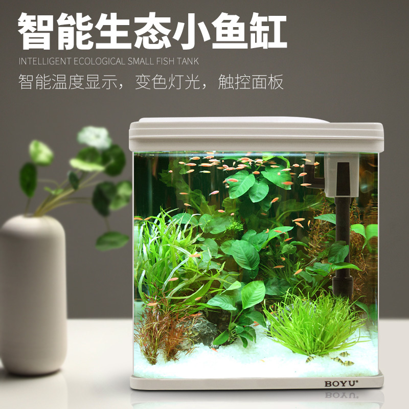 水族箱小型玻璃鱼缸过滤器客厅生态造景家用免换水金鱼缸缸高清大图