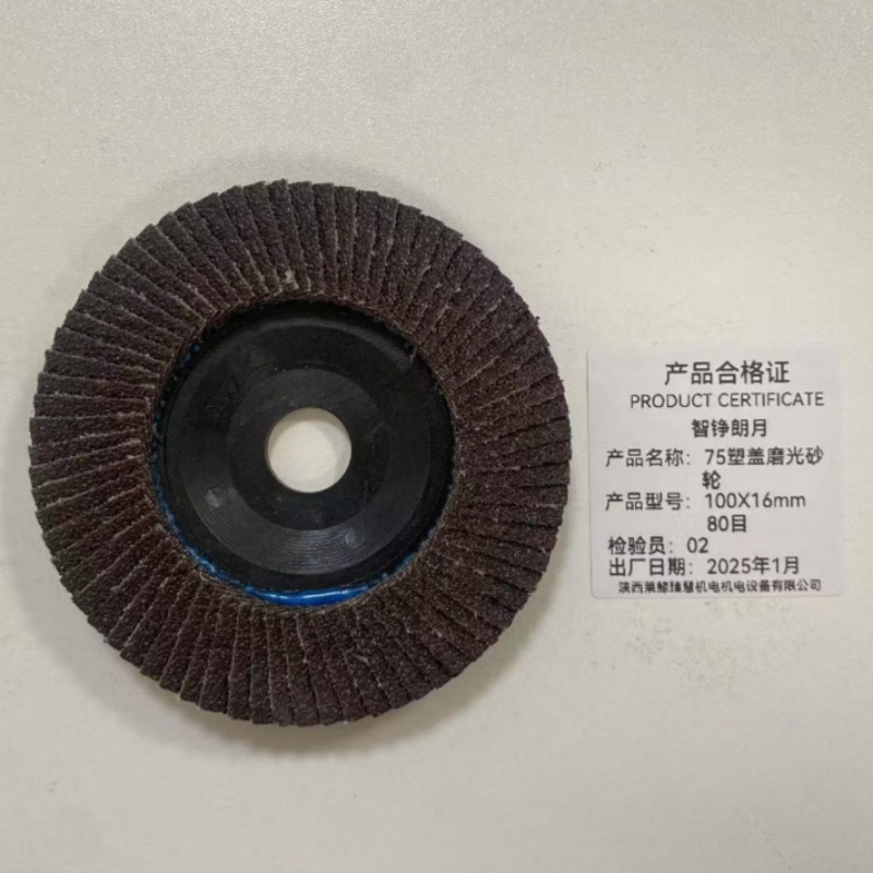 智铮朗月 75塑盖磨光砂轮 100X16mm 80目 片高清大图