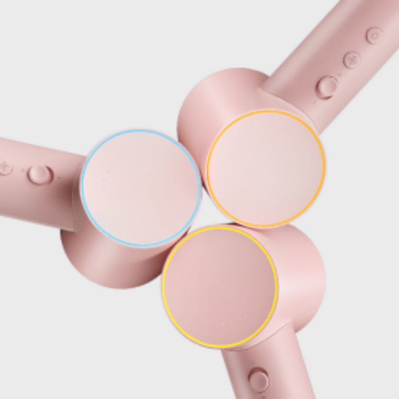 飞科 电吹风FH6370樱花粉高清大图