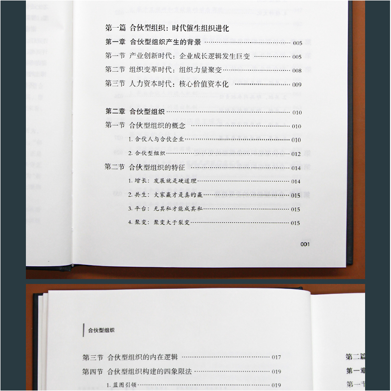 正版新书]合伙型组织 中国合伙人的蓝图 模式 治理与精神刘建刚高清大图